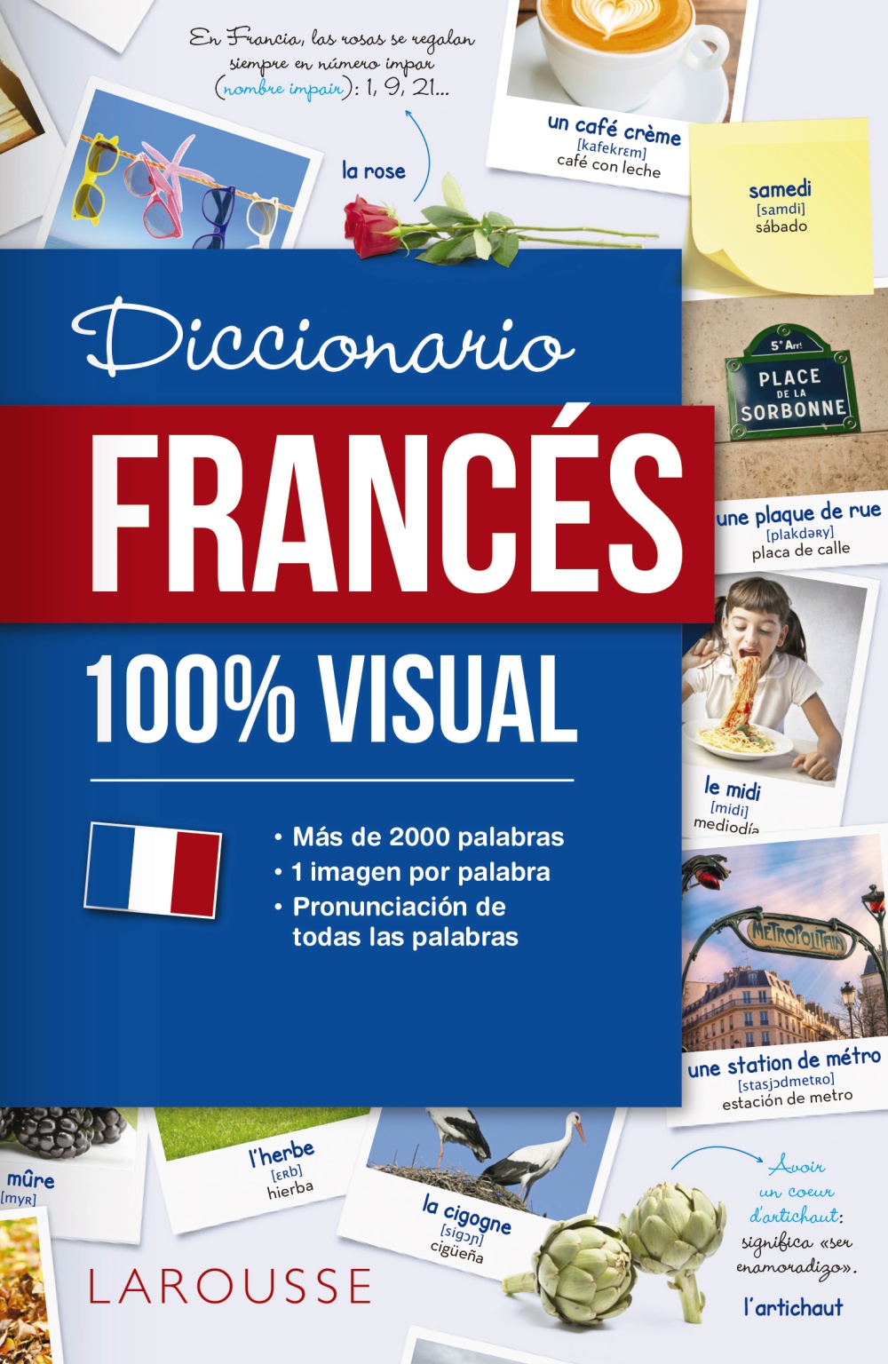 Autor mañana formal Diccionario de francés 100% Visual - Larousse Editorial